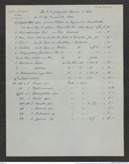 Nachlass Franz Steindachner, Brief und Beilage (Verzeichnis) von Gustav Schneider (senior) an Franz Steindachner (24.08.1882), Inv.Nr. 461.30, Seite 13